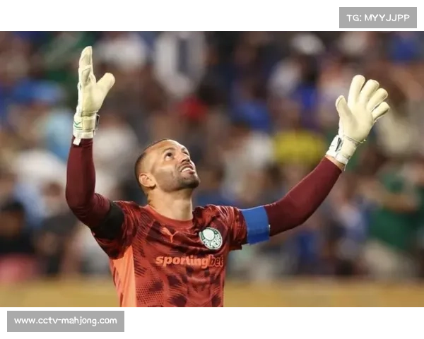 帕尔梅拉斯球迷致敬球队,虽败犹荣 帕尔梅拉斯球迷致敬球队,虽败犹荣